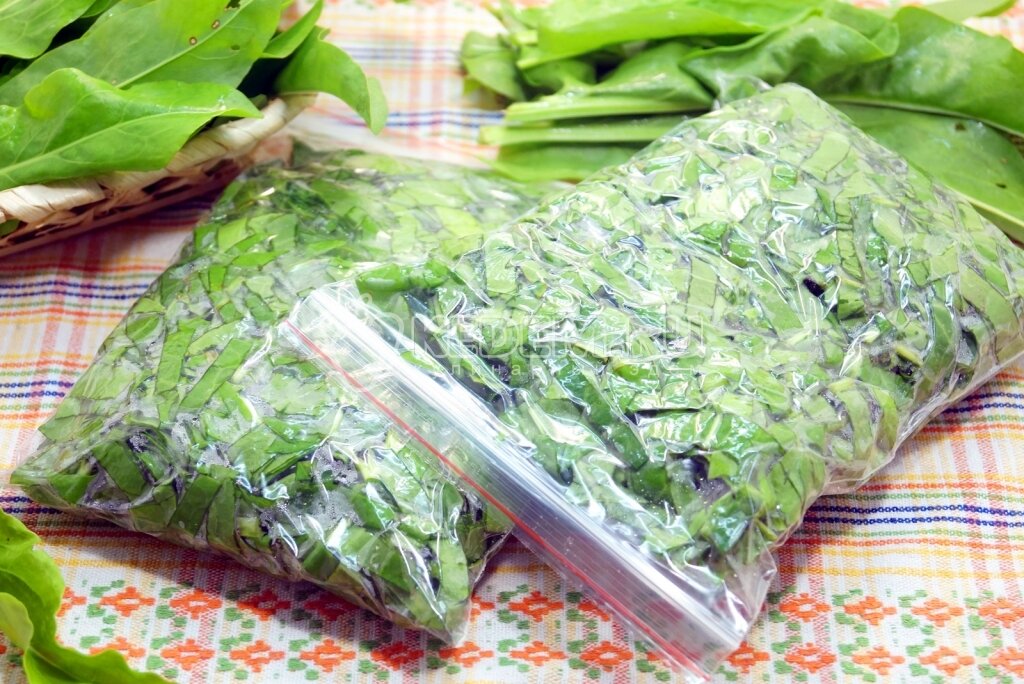 "Инвестиции в заморозки"))... Как я замораживаю продукты для экономии денег в будущем