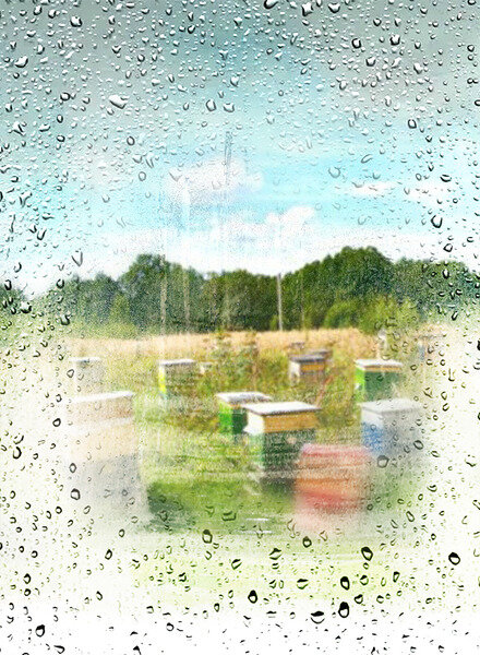 Дорога за окном