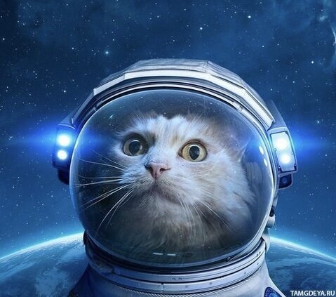 Фото с сайта avatarko.ru