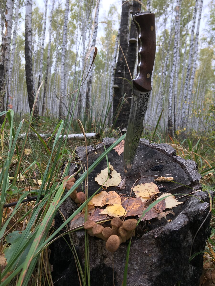 Фото Автора!