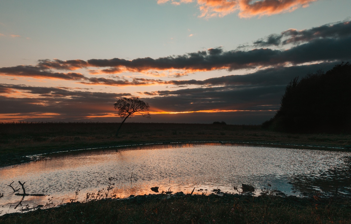 фото Irina Iriser