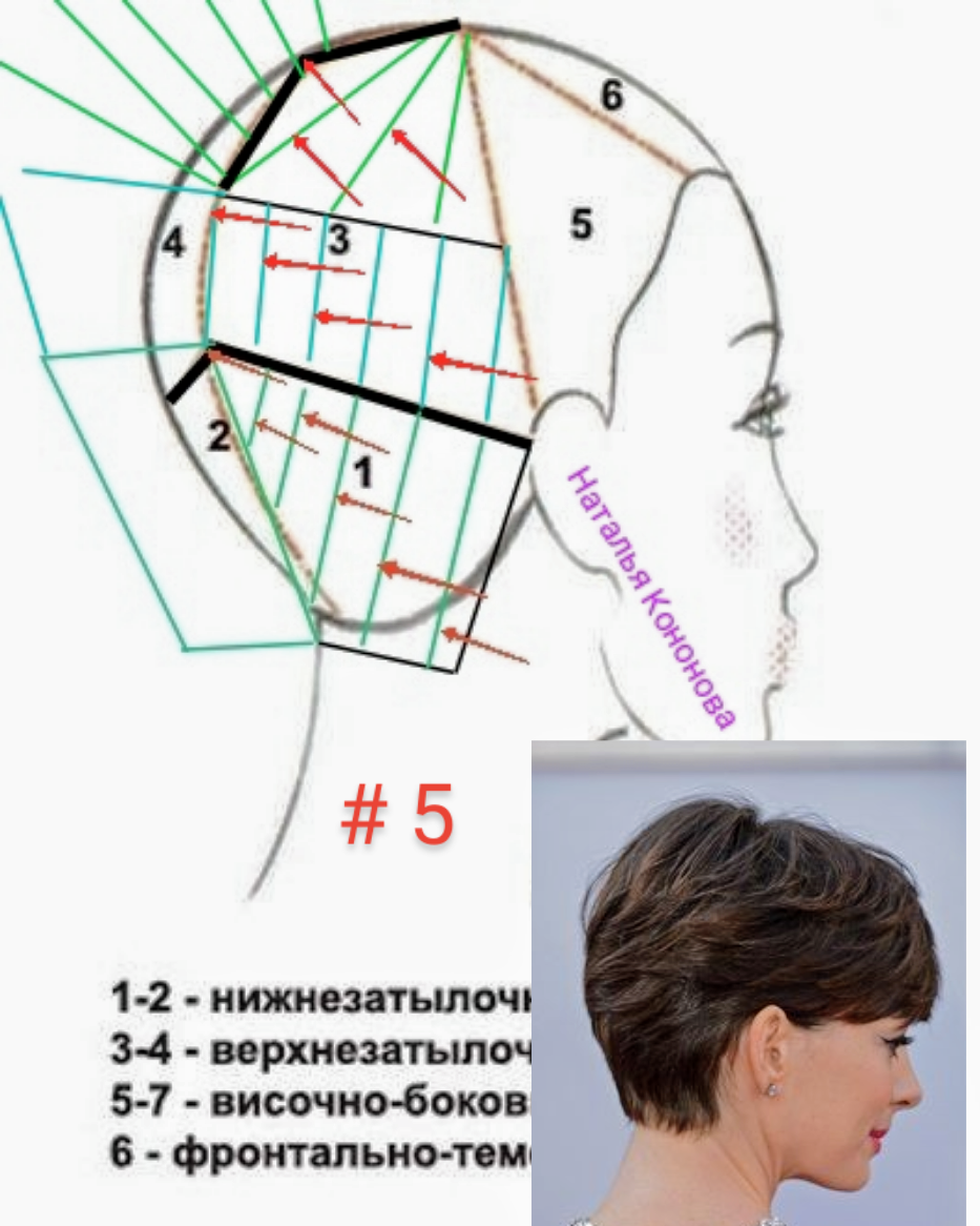 Наталья кононова схемы стрижек