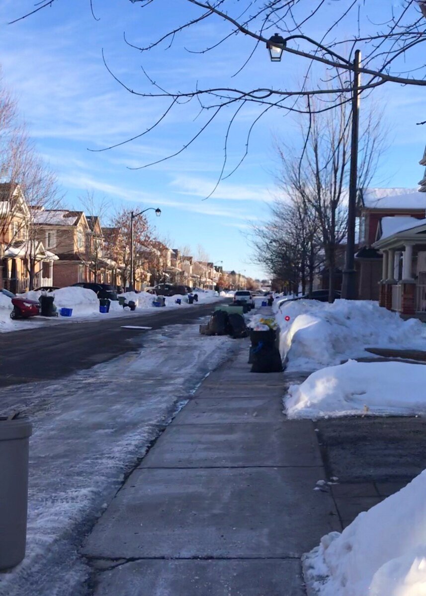 Вот так выглядят улицы, в тот день, когда забирают мусор.