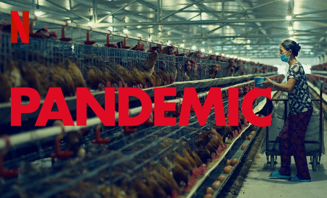 Пандемия: Как предотвратить распространение. Источник: https://yandex.ru/images