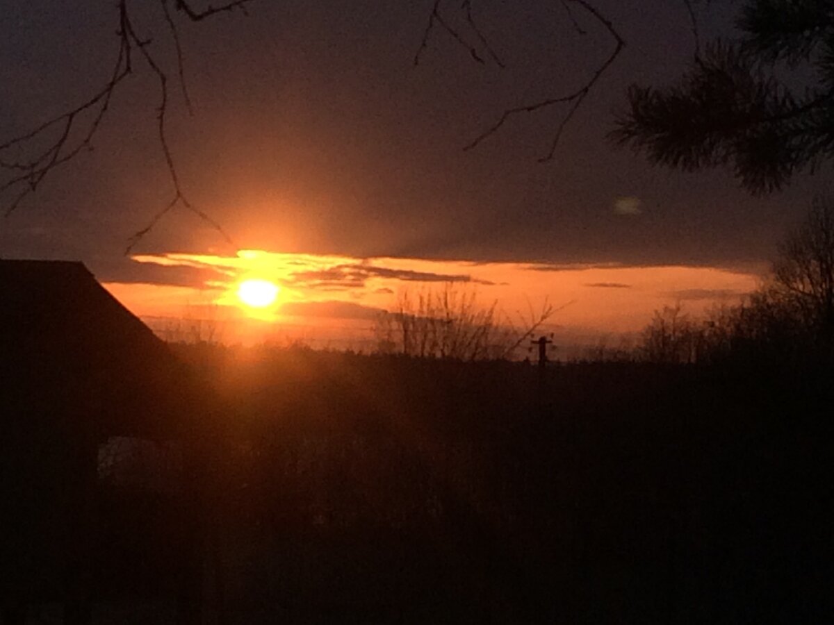 Как выглядит наша тень? 
Это - та часть нашего «Я», где собираются миллионы гигабайтов информации, где живут наши психокомплексы, недостатки, смысл телесных симптомов, событийные программы и т. п. Это - часть нашего «Я», которая собирает информацию о нас и, особенно, ту, которая нам не нравится и подавляется в глубинах бессознательного. Там, как правило, то греховное, которое мы не хотим допустить к осознанию, имеющее отношению к индивидуальному и коллективному уровню бессознательного. Поэтому теневую часть нашего «Я» мы чаще видим в бредовом состоянии, сновидении, алкогольном опьянении. Это объясняется тем, что наш внутренний цензор в таком состоянии теряет бдительность, и тень начинает показывать нам, какие мы на самом деле. Например, если человек вытесняет чувство агрессии, старается быть со своими близкими добрым, жертвуя собой все время, то в сновидении его агрессия вылезет из тени в виде страшных сцен. То, как работает тень, описано в трудах по мифологии и сказках.

Понимая подсказку своей тени, человек становится магом. Например, ученик после определенной работы со своей тенью говорит: «У меня это получилось!», и я отвечаю: «Это говорит о том, что ты договорился с тем, что мешало этому измениться». Тень или, как мы отметили выше, бессознательная часть нашего «Я» имеет выход с индивидуального уровня на коллективный и вселенский. Знание о том, как взаимодействует тень с сознательным уровнем «Я», и о структуре тени помогает человеку понять, как действия, мысли, образы, настроение, установки влияют на окружение и возвращаются обратно к нему. За примером сегодня ходить далеко не надо. Смотрите, как ведут сегодня себя люди (об этом я написал в предыдущих публикациях). Как вы думаете, что накапливается в теневой части коллективной тени (бессознательного) и автоматически в тени каждого из нас? Агрессия, недоверие, желание обмануть и т. п. В тени нашего «Я» растет деструктивная энергия, но мы боимся это признать, и поэтому об этом говорят нам трагические события, которые происходят сегодня то там, то тут. Наша тень становится деструктивной, потому что мы оторвались от законов природы. Вот что пишет по этому поводу К. Г. Юнг в «Красной книге»: «Животное не восстает против своего вида. Подумай о животных, насколько они справедливы, как хорошо выдрессированы, как держатся освященного веками, как почтительны к земле, которая носит их, как держатся привычных маршрутов, как заботятся о младших, как вместе идут на пастбище и как тянут друг друга к весне. Среди них нет такого, кто скрывает изобилие добычи и оставляет брата умирать от голода. Нет того, кто пытается распространить свою волю на весь свой вид. Нет того, кто делает из мухи слона. Животное живет, соответствуя жизни своих особей, не превосходя, не отставая от них». Как вы понимаете, мы с вами - полная противоположность: в тени полный хаос со всеми вытекающими последствиями. Только шагнув в свою тень, мы можем научиться быть самим собой, жить свою жизнь, а не за счет ближнего. В этой же работе К. Г. Юнг пишет далее: «Стадное животное не паразитирует и не вредит своему брату. Человек, ты даже забыл, что ты - тоже животное... Горе тебе, если ближний думает так же». К сожалению, эта проблема безнравственности в нашей индивидуальной и коллективной тени растет. Примеров очень много. Недавно один мой знакомый пошел в известный магазин Санкт-Петербурга купить чехол для электронной книги. Он обратился к консультанту с просьбой: «Помогите подобрать чехол по цвету и размеру». Тот посмотрел и сразу предложил то, что дороже, плохо продаётся, а потом оказалось ещё и с дефектом. Знакомый отошёл и увидел на витрине то, что совпадало с его запросом. Он взял чехол и подошел к молодому человеку. Показывая ему чехол, он спросил: «Если ты этим занимаешься постоянно, как ты потом после работы спишь?». Консультант хотел изобразить улыбку, но получилось что-то другое, неприятное... Это передавала его тень.