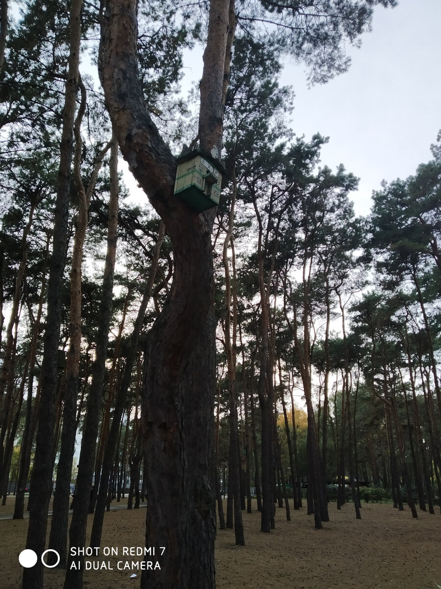 Фото из личного архива.