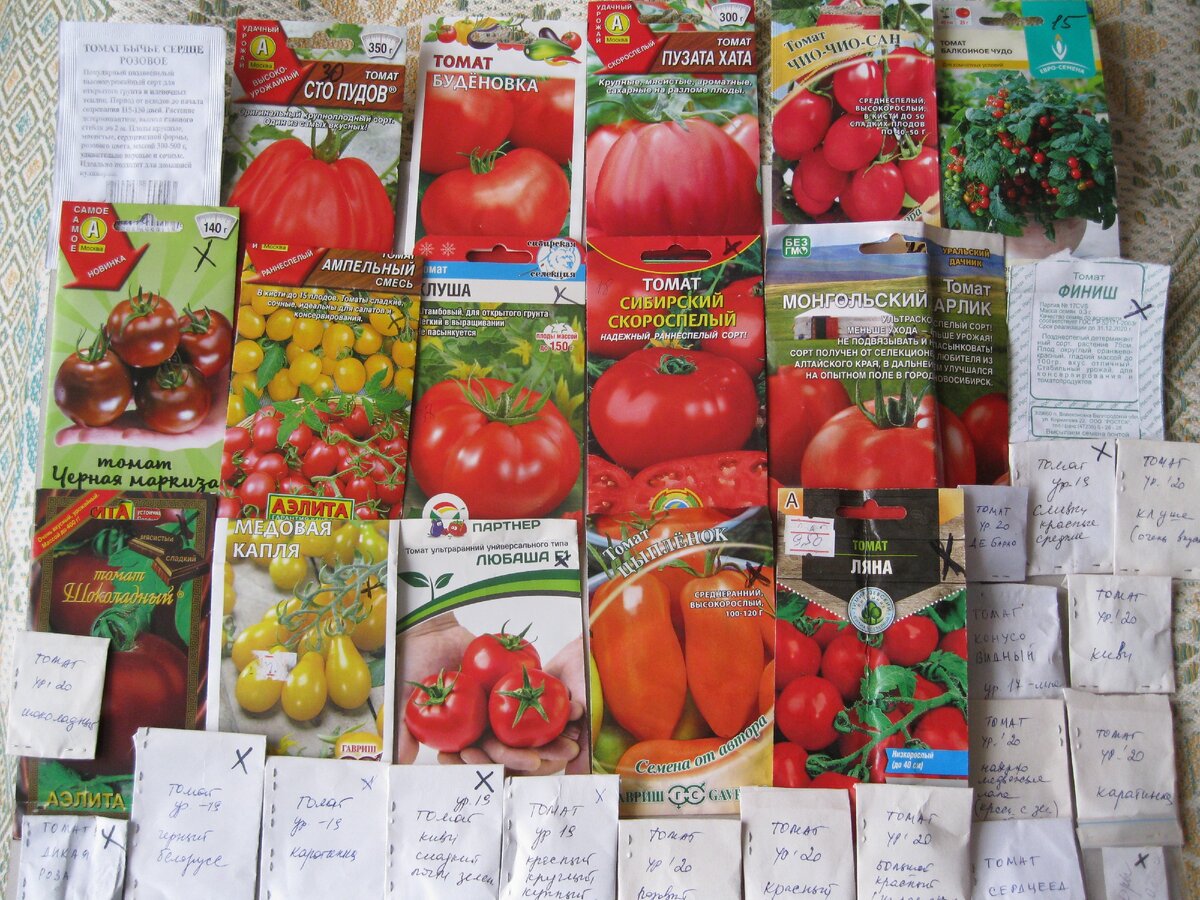 Верхний ряд куплен сейчас, а остальные сажали в этом году.