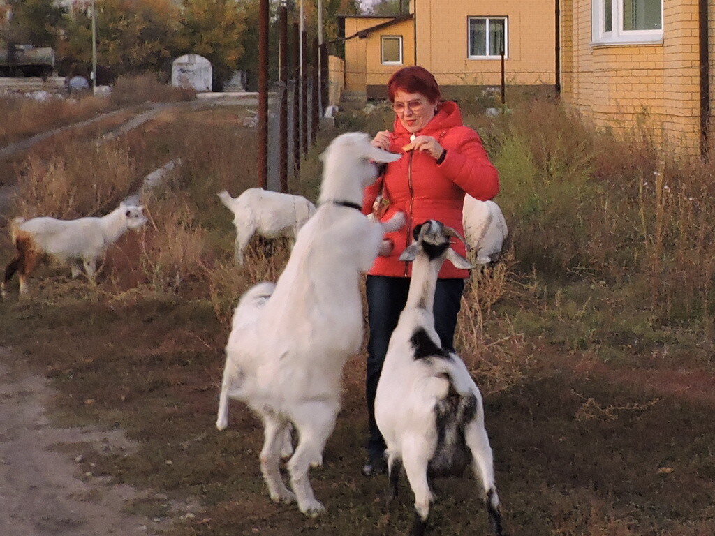 фото  автора