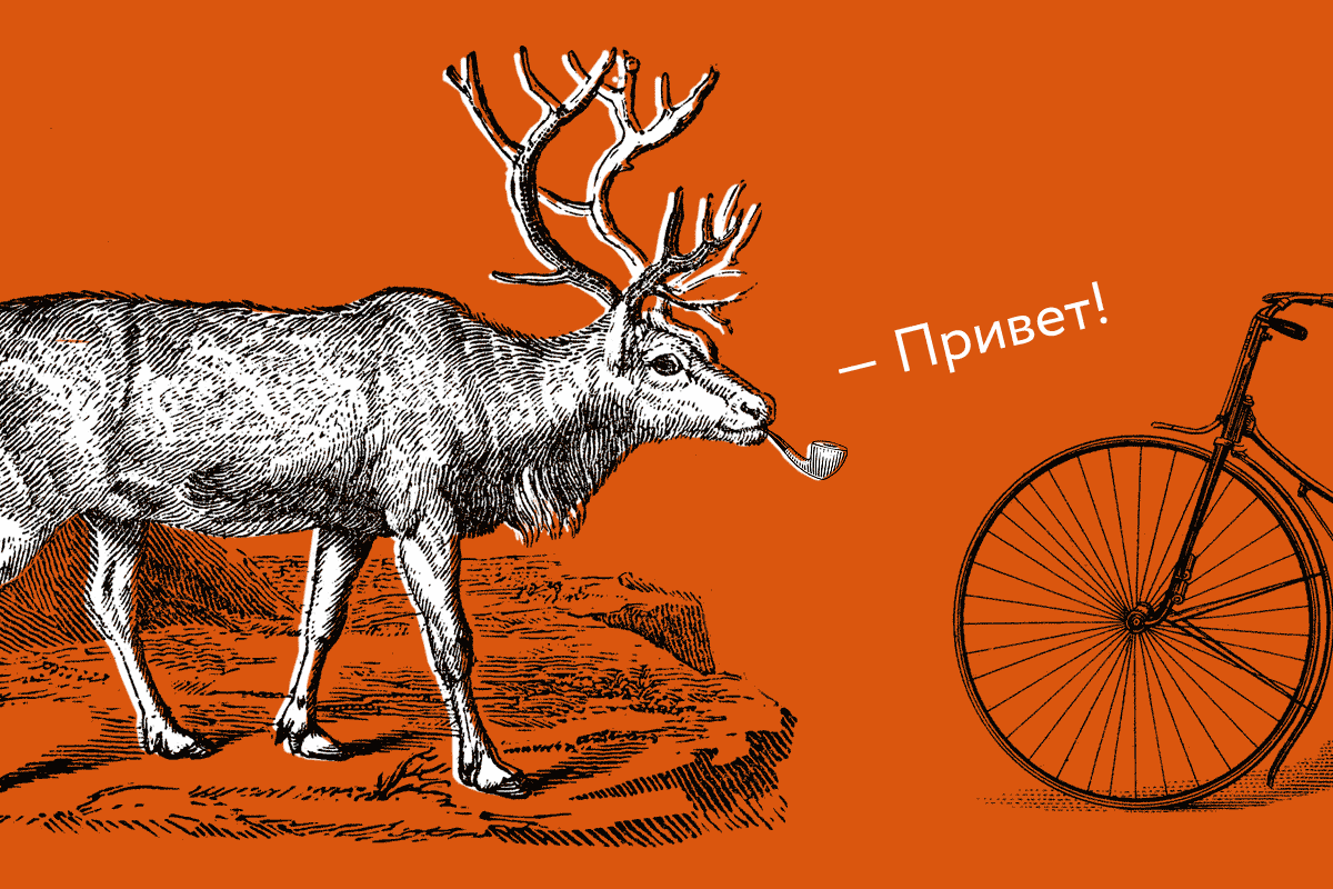 Вот какой ты лось, Главред! (Или веЛОСипед?)