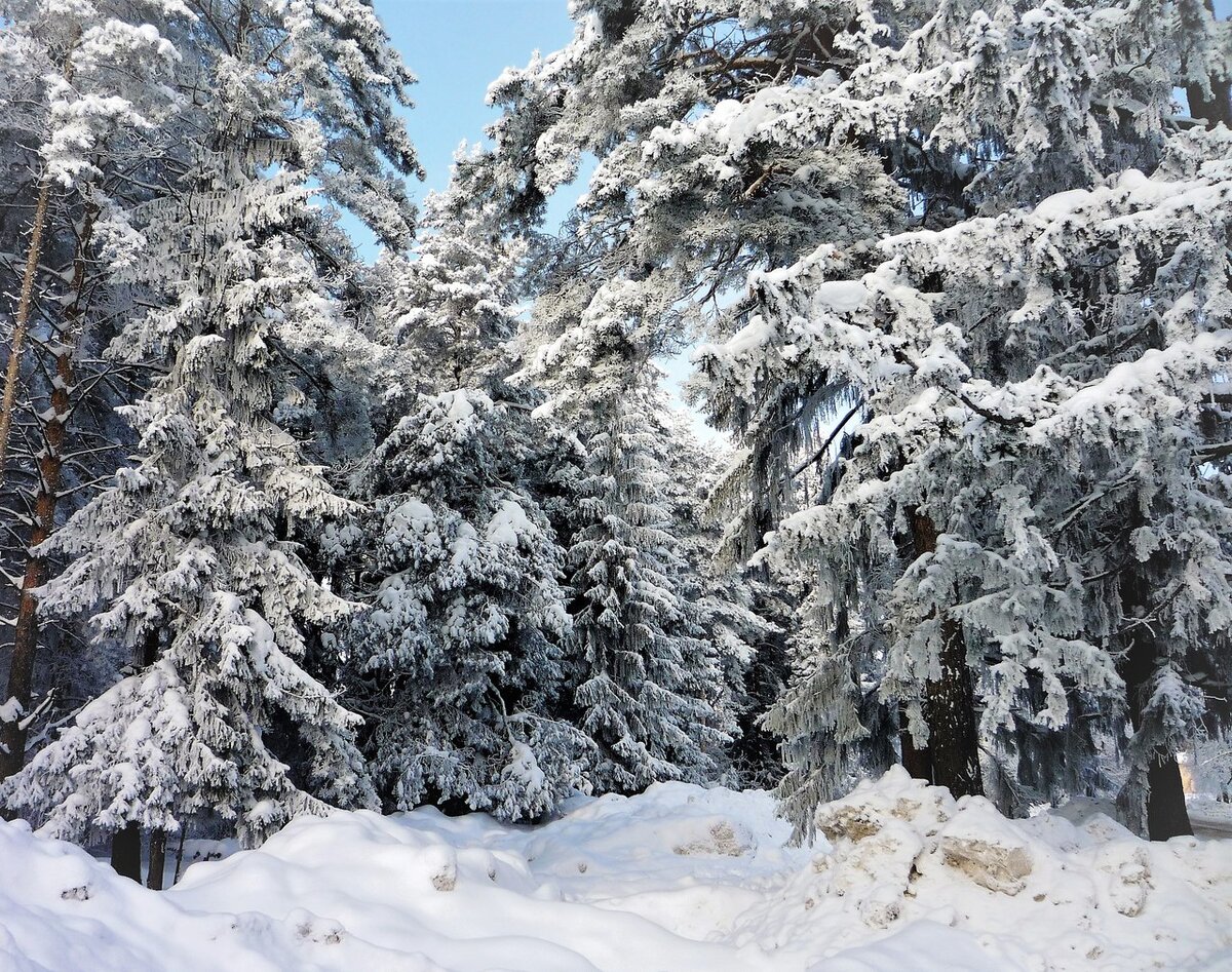 Вот такая на моей родине зима. Фото автора