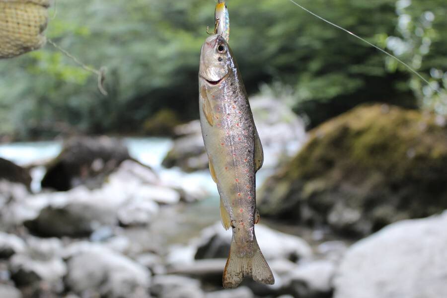 Рыбалка на реке Бзыбь. Фото: apsnyfishing.ru