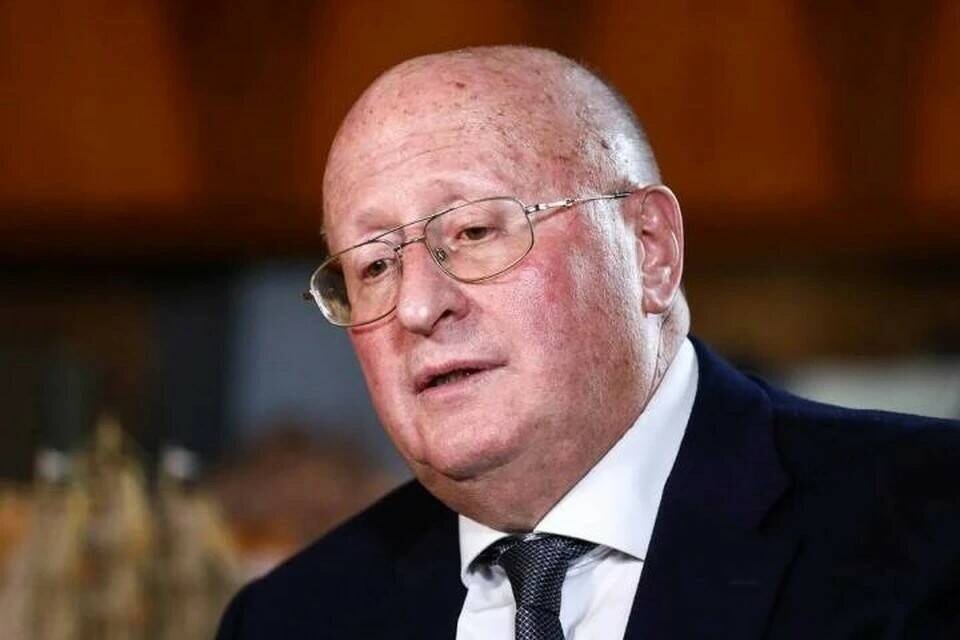     Гинцбург заявил, что приостановка работы Lancet не страшна для российского научного сообщества Фото: Артем Геодакян/ТАСС