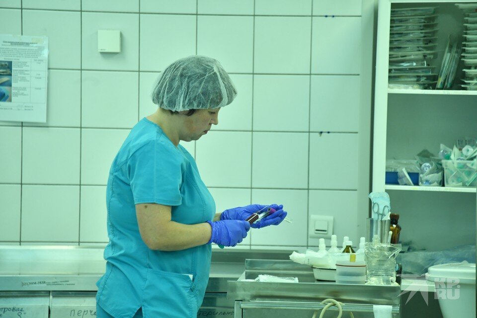     Рязанские врачи помогли 9-летнему сыну беженки из Херсона. Евгения ГУСЕВА