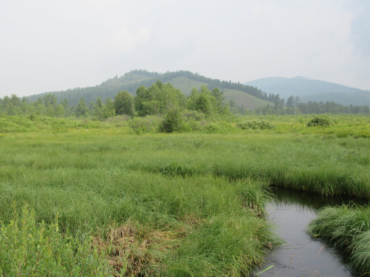 Фото "Там в дали..."