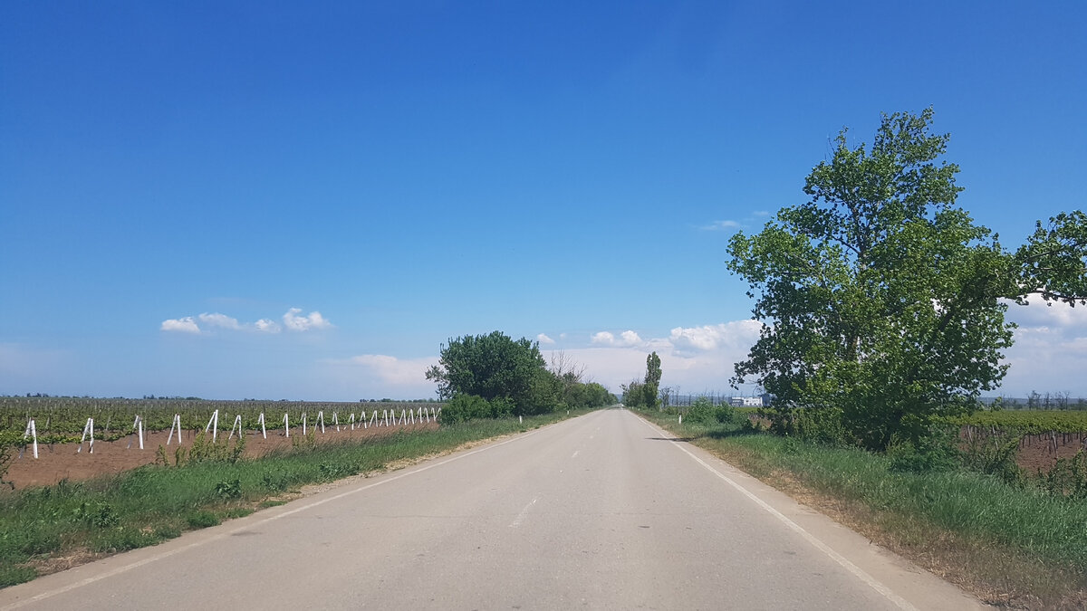 Краснодарский край. Кубань. Слева виноградники Тамани.