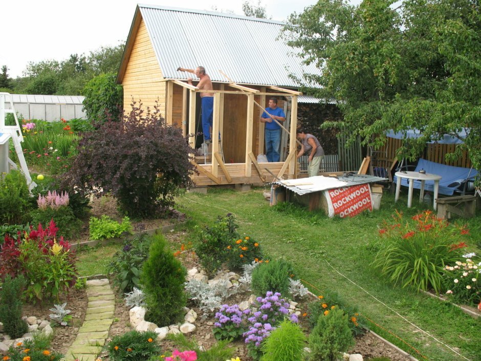 🌳🌳🌳листайте➡