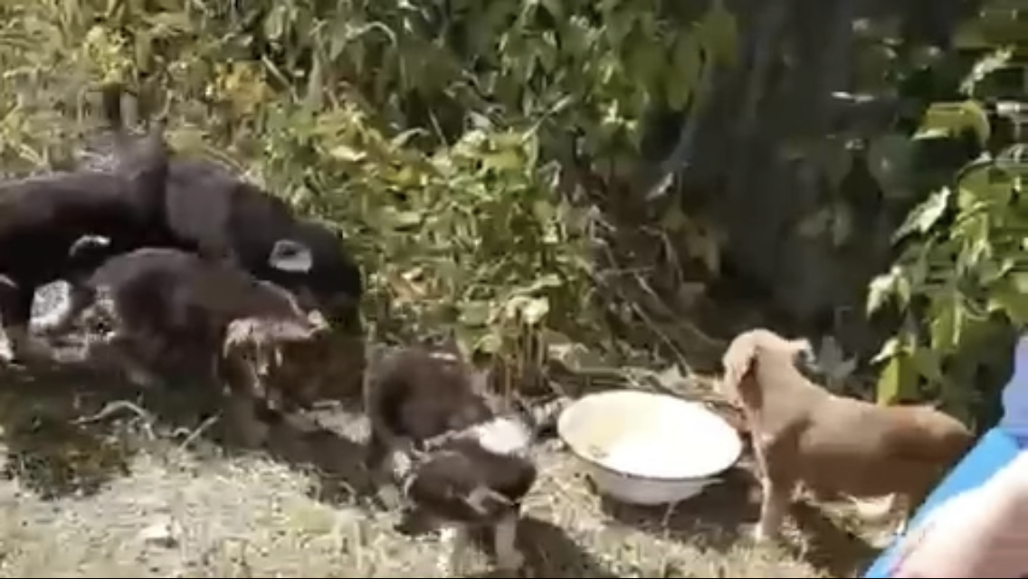 -1-2