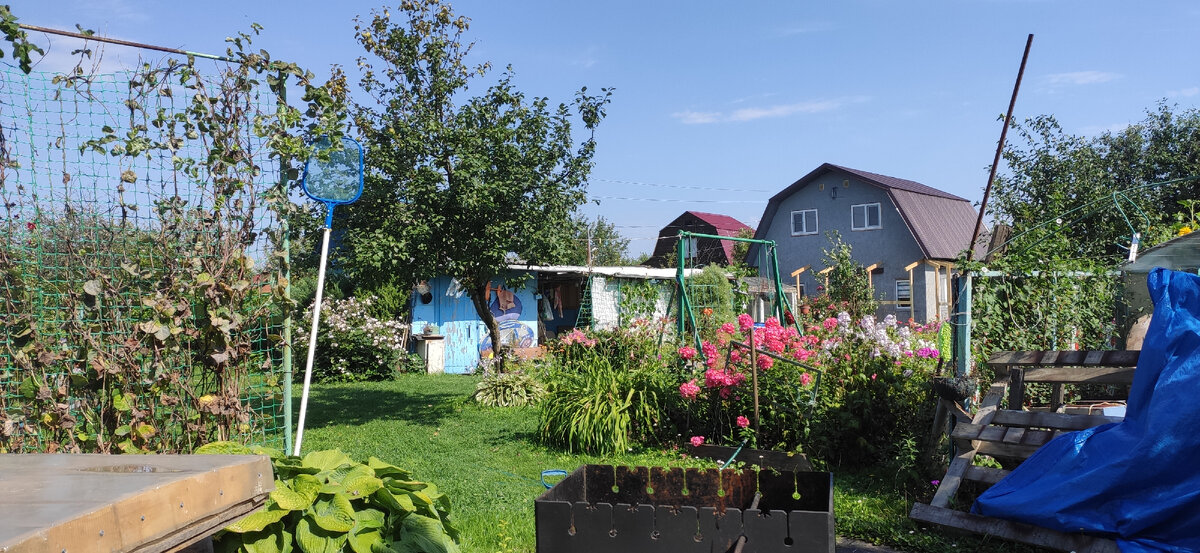 Дача, вид от бани, красная крыша уже не наше здание
