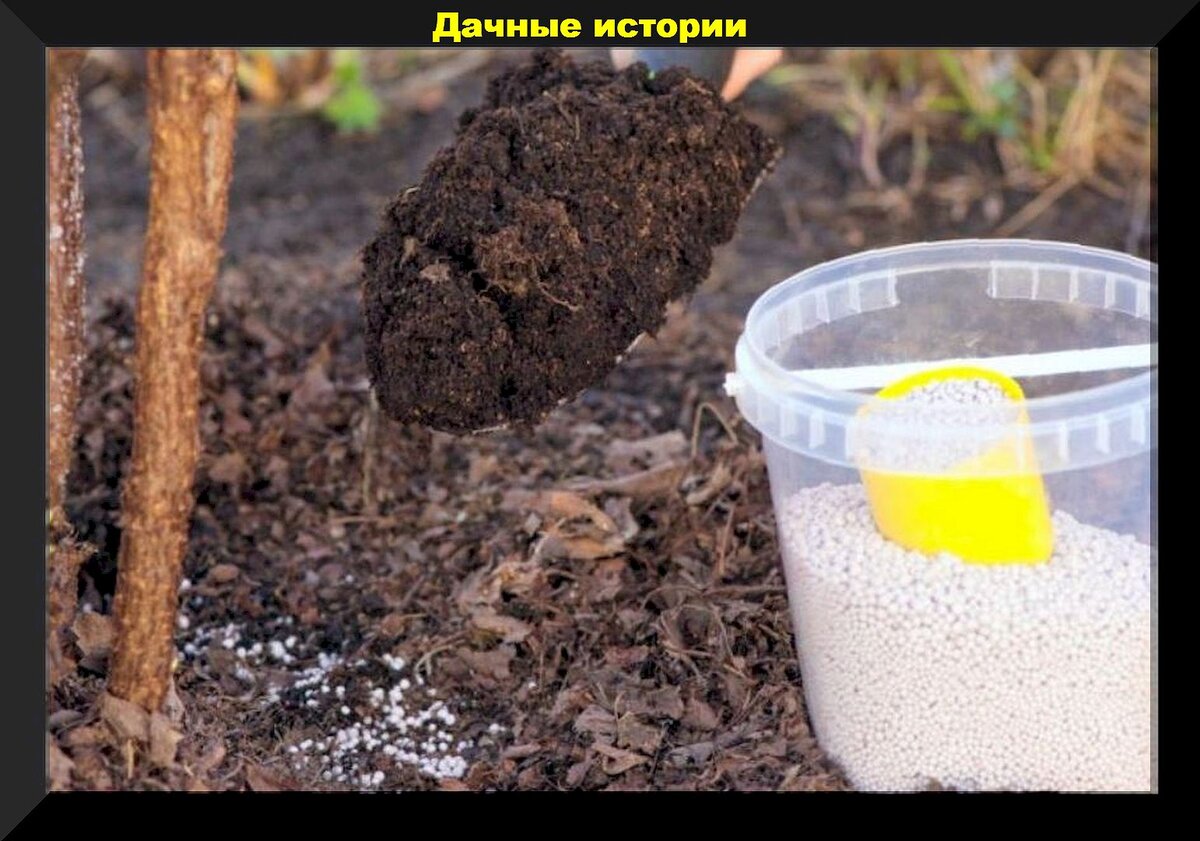 https://vk.com/photo-159774511_457261746