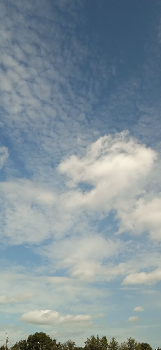 Источник: личное фото