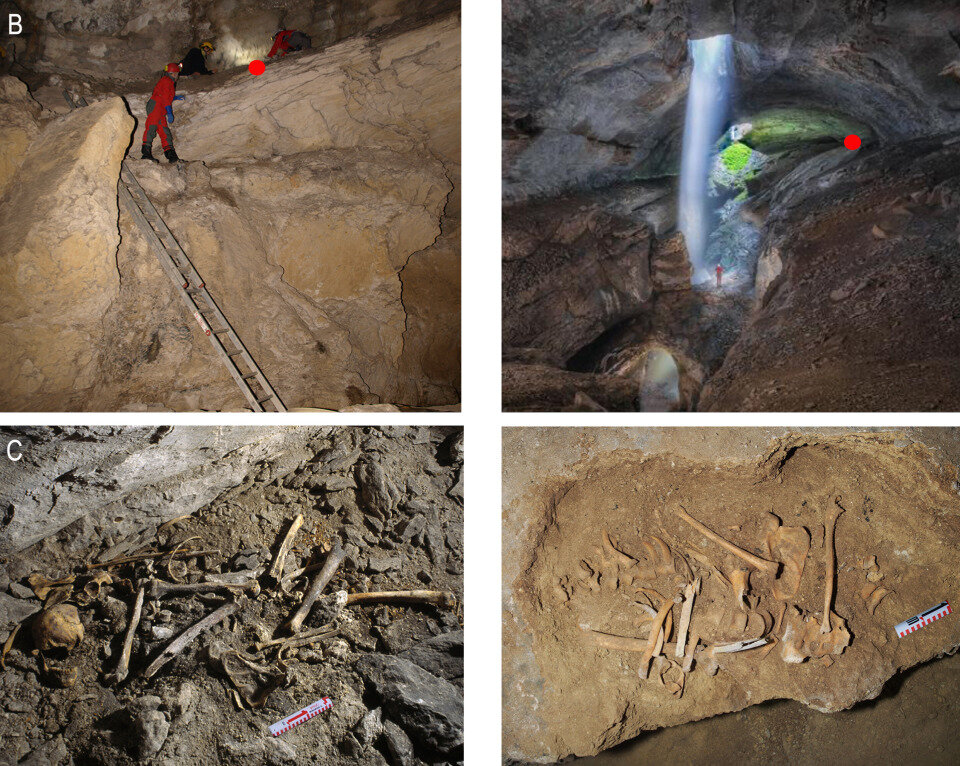 В Испании нашли убитых в раннем бронзовом веке мужчин N + 1 Дзен