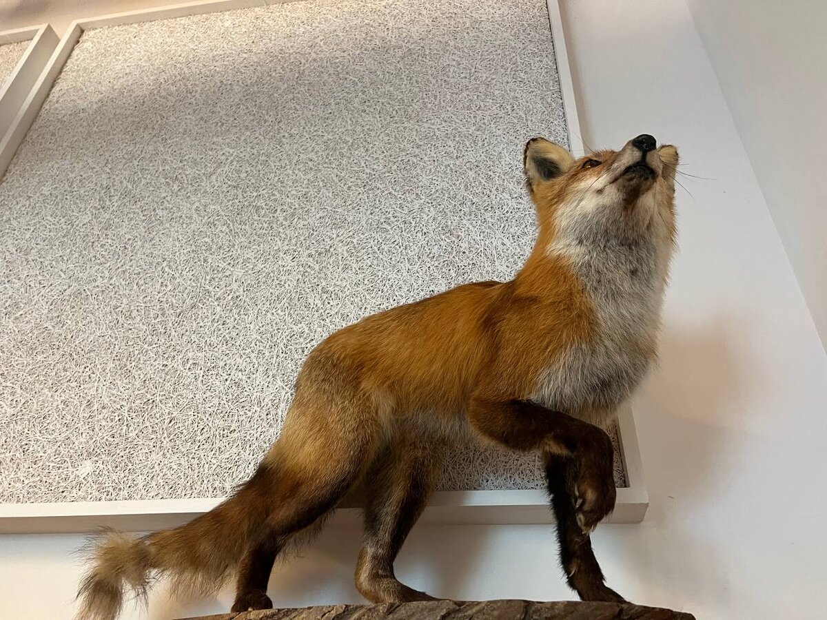 Фотография из личного архива. 