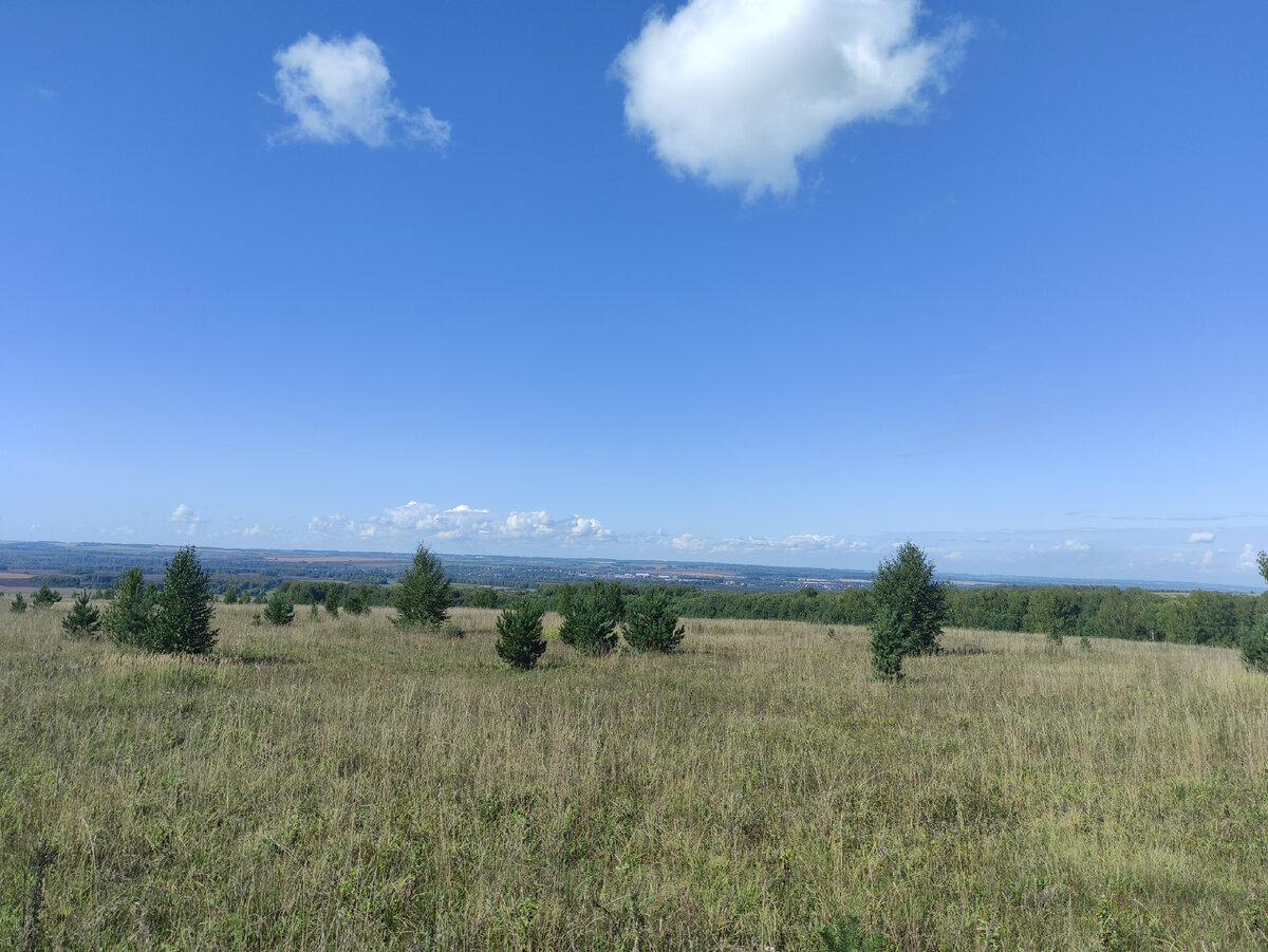 За бором на возвышенности раскинулись заброшенные поля. Земля тут не очень плодородная, да и работников в деревнях мало, не возделывается