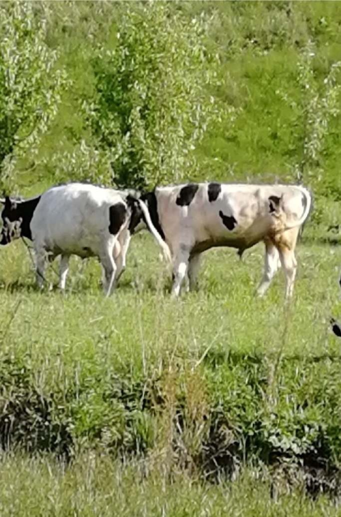 Фото автора канала.