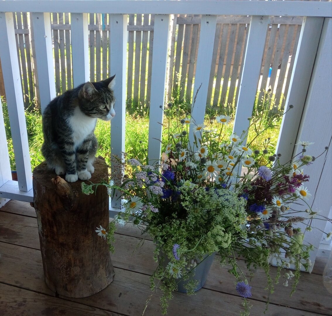 Фуфырик, пень, ведро,букет.