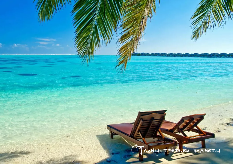 Все изображения взяты с сайта www.shutterstock.com и принадлежат их авторам.