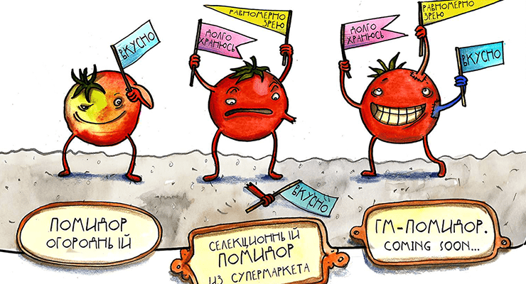 Какой томат выберешь ты? :)