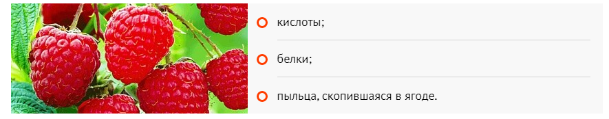 компоненты вызывающие аллергию 