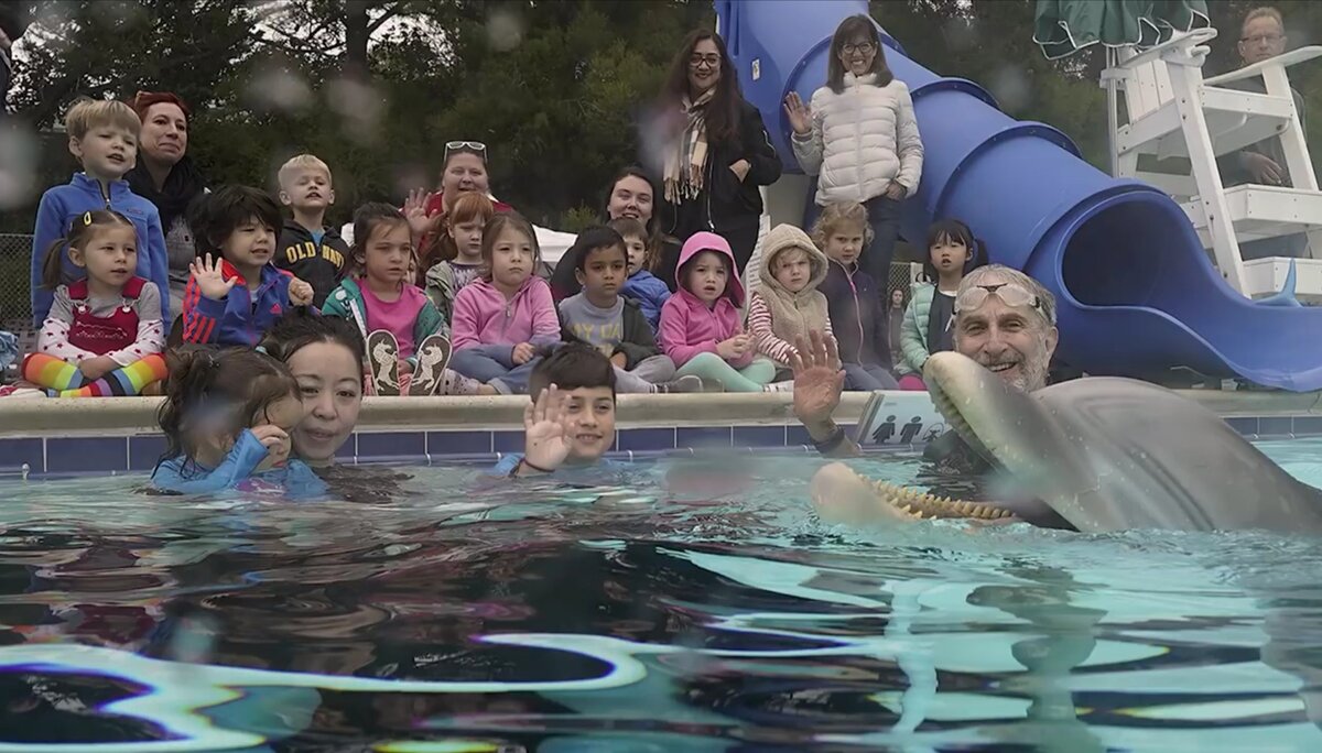 Робот-дельфин знакомится с людьми