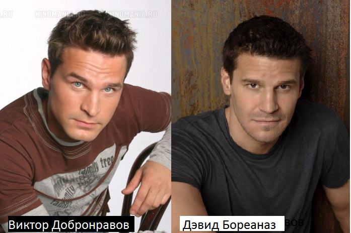 Актеры двойники россия мужчины фото и имена