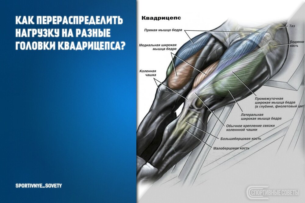открытый источник