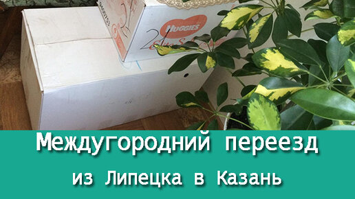 Липецк пмж отзывы. Казань переезд на ПМЖ. Переезд в Ессентуки на ПМЖ отзывы. Как рассчитать переезд в другой город. Ессентуки отзывы переехавших на ПМЖ.