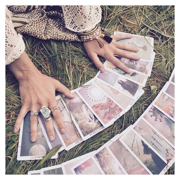 Спасибо автору за  шикарное фото!