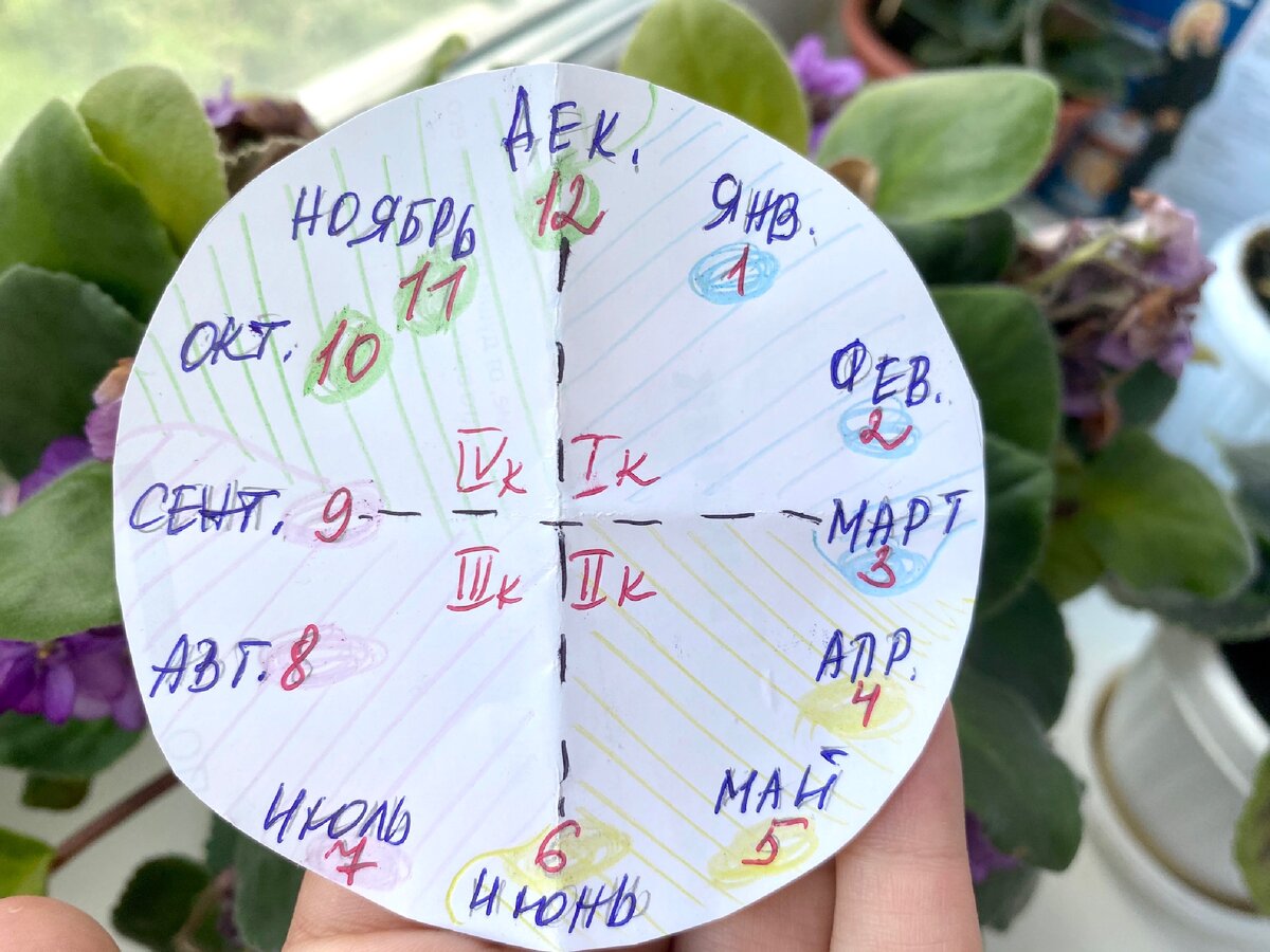 «Годовой круг» для объяснения понятия «квартал»