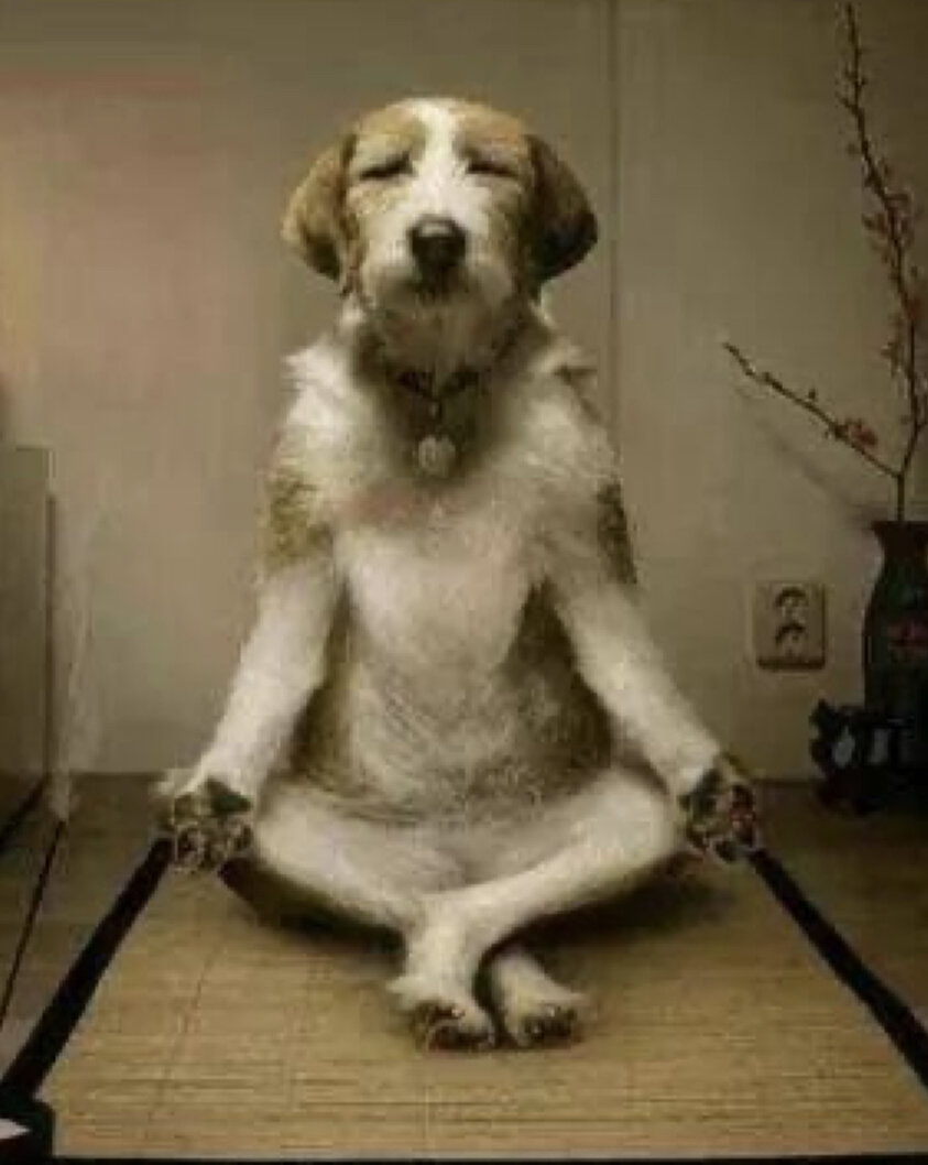 Я нашла дзен