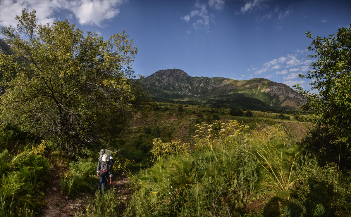 Начали идти.