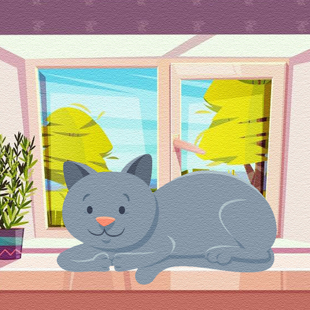кот Филька