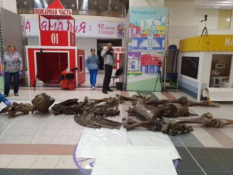 Фото: Екатерина Пшенцова / КРАСНЫЙ СЕВЕР