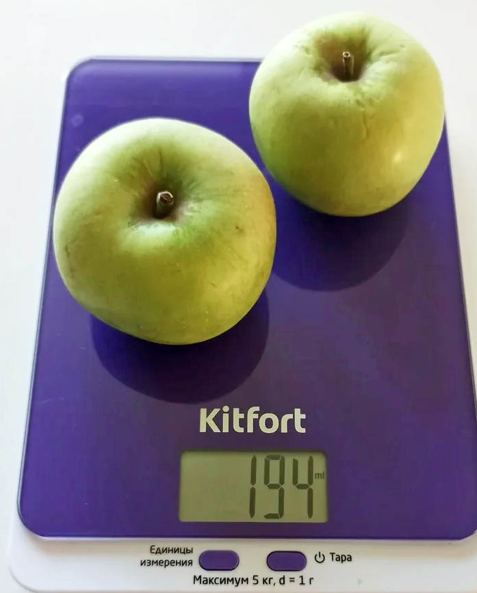 Кухонные весы Kitfort КТ-803