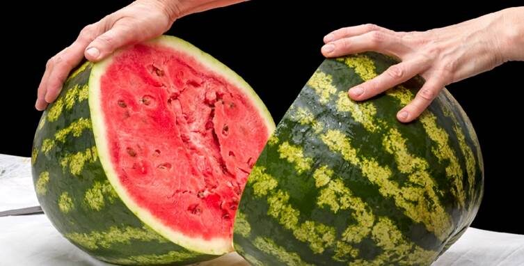 Источник: Яндекс картинки