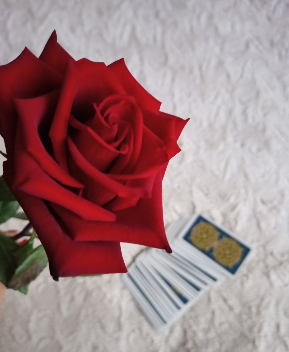 На этом расклад закончен. Обязательно  сделаю более подробный расклад на подсознание партнера. Подписывайтесь на канал и до новых встреч! Всем любви!)