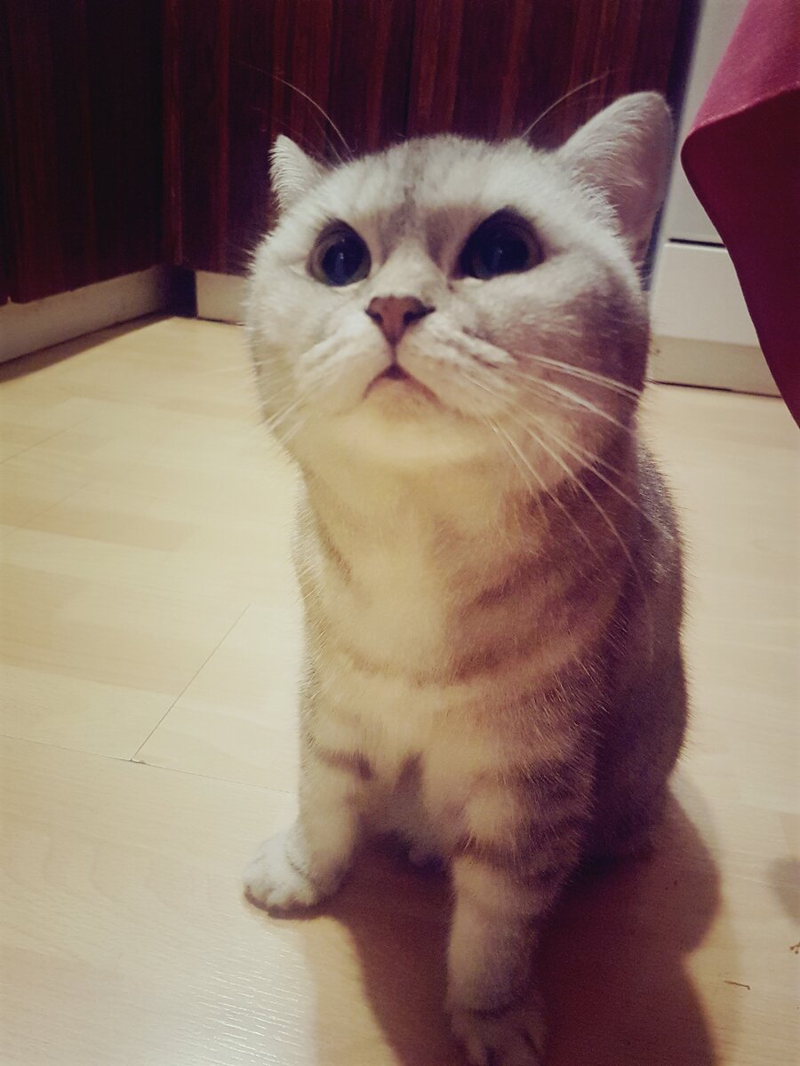 Мужчины чаще не всматриваются в детали 