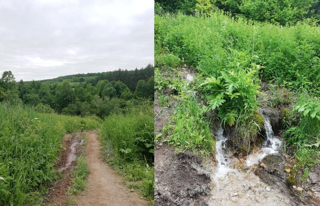 НАЙТИ ШУМИЛОВСКИЕ ВОДОПАДЫ И НЕ ЗАБЛУДИТЬСЯ ВТОРОЙ ДУБЛЬ Дзен