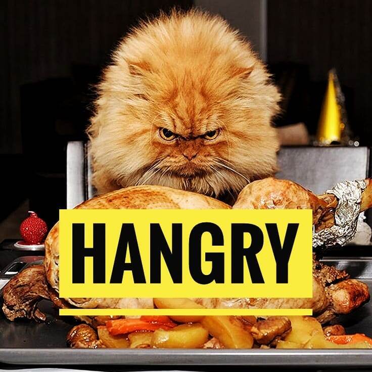 HANGRY - злой из-за голода