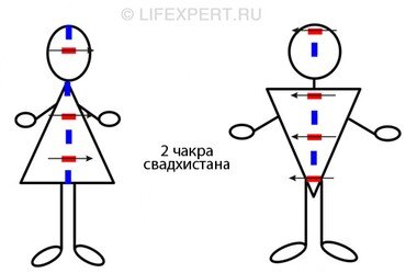 Энергосистема человека. Роль гирудотерапии в коррекции энергетических нарушений