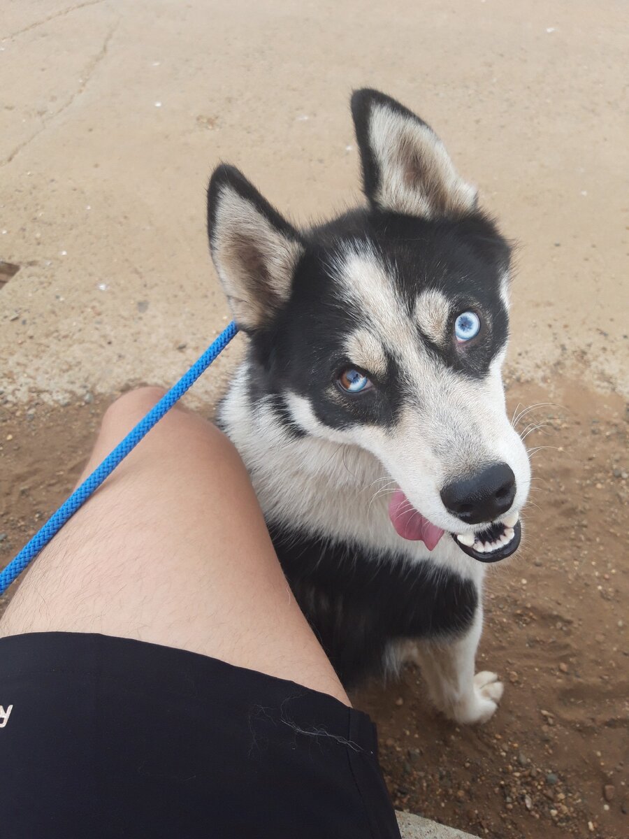 Решил что под моей ногой будет удобней)))))